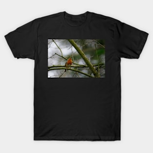 Little friend T-Shirt